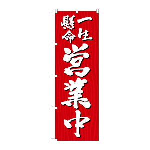 y1zPEOEPv_Nc [G] ̂ڂ ꐶcƒ ؖ SNB-7081 00728153 vXe