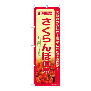 y1zPEOEPv_Nc [G] ̂ڂ ڒ R`Y SNB-7222 00728881 vXe