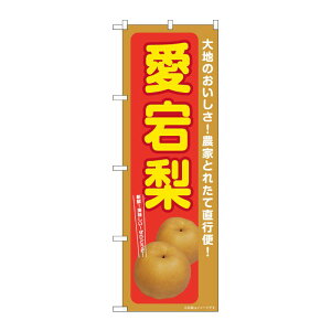 y1zPEOEPv_Nc [G] ̂ڂ  SNB-7235 00728894 vXe