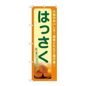 y1zPEOEPv_Nc [G] ̂ڂ ͂ SNB-7244 00728903 vXe