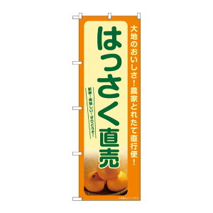 y1zPEOEPv_Nc [G] ̂ڂ ͂ SNB-7245 00728904 vXe