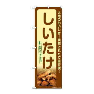 y1zPEOEPv_Nc [G] ̂ڂ  SNB-7335 00728994 vXe