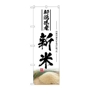 y1zPEOEPv_Nc [G] ̂ڂ V VY SNB-7604 00729263 vXe