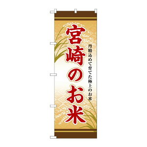 y1zPEOEPv_Nc [G] ̂ڂ {̂ SNB-8475 00729894 vXe