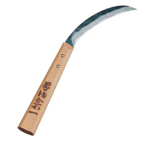 y1z oii J_ 00493896 vXe