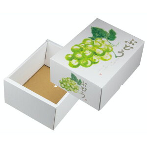 y40zMtg Ă̂ԂǂO[ }jpbP[W 00702952 vXe