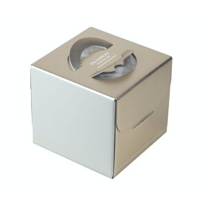 y100zP[L VfR4.5 }jpbP[W 00733892