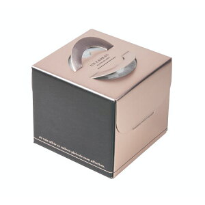 y100ZbgzP[L NXfR4.5(䎆ی^t) }jpbP[W 00733898