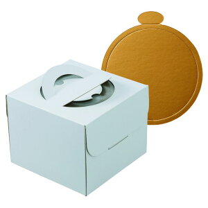 y100ZbgzP[L fRzCg150 5  䎆tی^ }jpbP[W 00733903