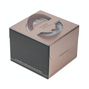 y100zP[L NXfR5 }jpbP[W 00733917