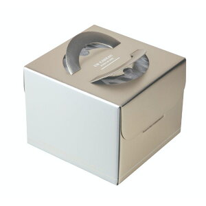 y100ZbgzP[L VfR5 䎆ی^t }jpbP[W 00733918