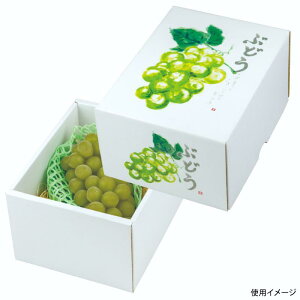 y40zMtg Ă̂ԂǂO[  }jpbP[W 00733944 vXe