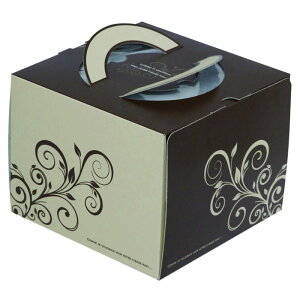 y100zP[L XC[gfR4.5 }jpbP[W 00733947