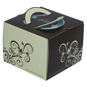 y100zP[L XC[gfR5 }jpbP[W 00733949