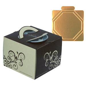 y100ZbgzP[L XC[gfR5(䎆t) }jpbP[W 00733950