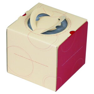 y100zP[L [vfR4.5 }jpbP[W 00733958