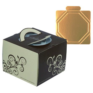 y100ZbgzP[L XC[gfR6(䎆t) }jpbP[W 00733974