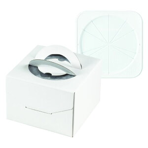 y100ZbgzP[L fRzCg135 5 CLg[t }jpbP[W 00733979