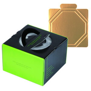 y100ZbgzP[L OWfR6(䎆t) }jpbP[W 00733989