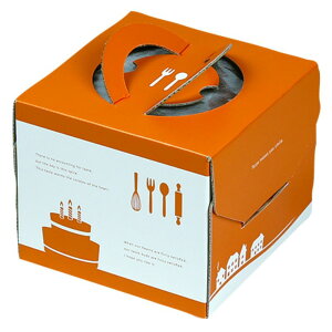 y100zP[L \CfR135 4.5 }jpbP[W 00733990