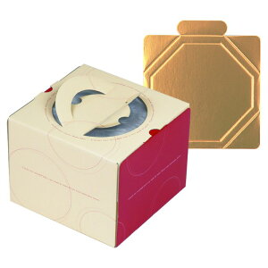 y100ZbgzP[L [vfR5(䎆t) }jpbP[W 00733992