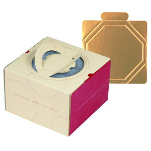 y100ZbgzP[L [vfR6(䎆t) }jpbP[W 00733993