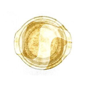 y800z˗e MFPzbg16-17(40)쒃W GtsR 00180267