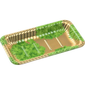 y600zI[hue eBApM25-14 { [t GtsR 00311110