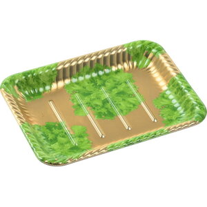 y600zI[hue eBApM25-19 { [t GtsR 00311111