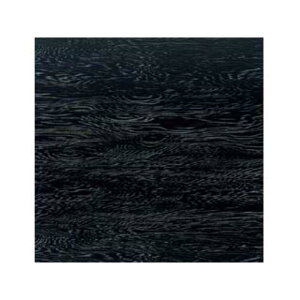 y50_zXܔi Rۃpl v GtsR 00123174