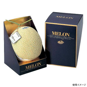 y100_zMtg L-348 E}`F[ }jpbP[W 00225208