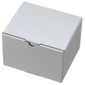 y1_zMtg nVo[O[Mtg{bNX-4(10) wbY 00268976