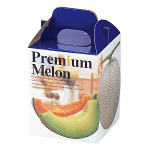 y100_zMtg L-414 v~A1 }jpbP[W 00320594