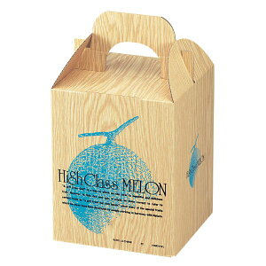 y100_zMtg L-237 nCNX1 }jpbP[W 00321210