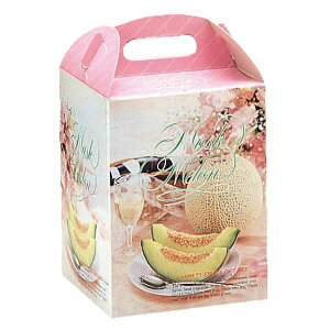 y100_zMtg L-200B h[1 }jpbP[W 00322183