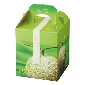 y100_zMtg L-2113 WG1 }jpbP[W 00446634