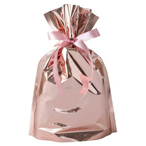 �y1�_�z�� �A���~�������{���t�o�b�O-SS �s���N(20��) �w�b�Y 00449950