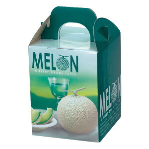 y100_zMtg L-2083 rWX1 }jpbP[W 00450907