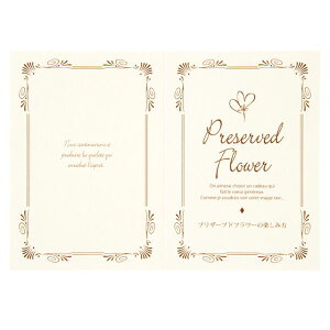 y1_zvU[uht[eiXJ[h-5(30) wbY 00455873