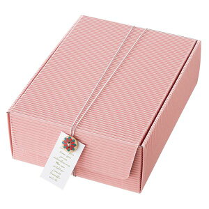 y1_zMtg t[gMtg{bNX-M sN(10) wbY 00455899