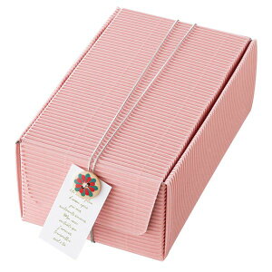 y1_zMtg t[gMtg{bNX-S sN(10) wbY 00455901