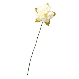 y1_zp y[p[Jtt[-M AC{[-5(36{) wbY 00456442