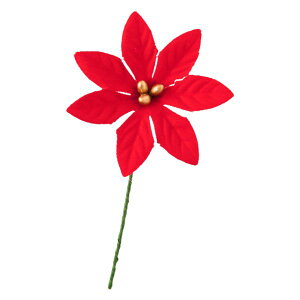 y1_zp |CZ`At[-S bh-1(10{) wbY 00456628