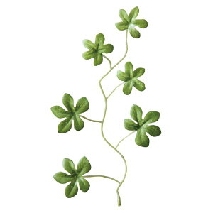 y1_zp ԃO[p[c VK[oC-2(50) wbY 00459686