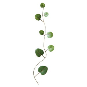 y1_zp ԃO[p[c n[gJY-3(50) wbY 00459691