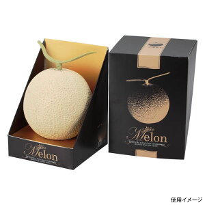 y100_zMtg L-2210 1ubNL }jpbP[W 00481707