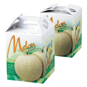 y100_zMtg L-2169 pfBX1 }jpbP[W 00500312