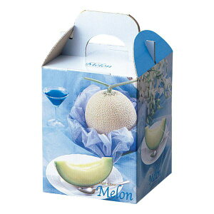 y100_zMtg L-456 uAgu[1 }jpbP[W 00500313