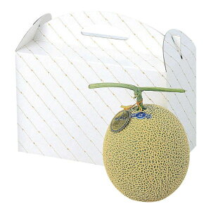 y100_zMtg L-255 2 }jpbP[W 00523509