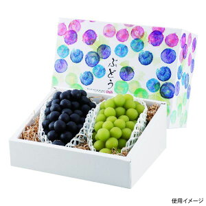 y50_zMtg L-2368 ʂԂǂ2[ }jpbP[W 00555189